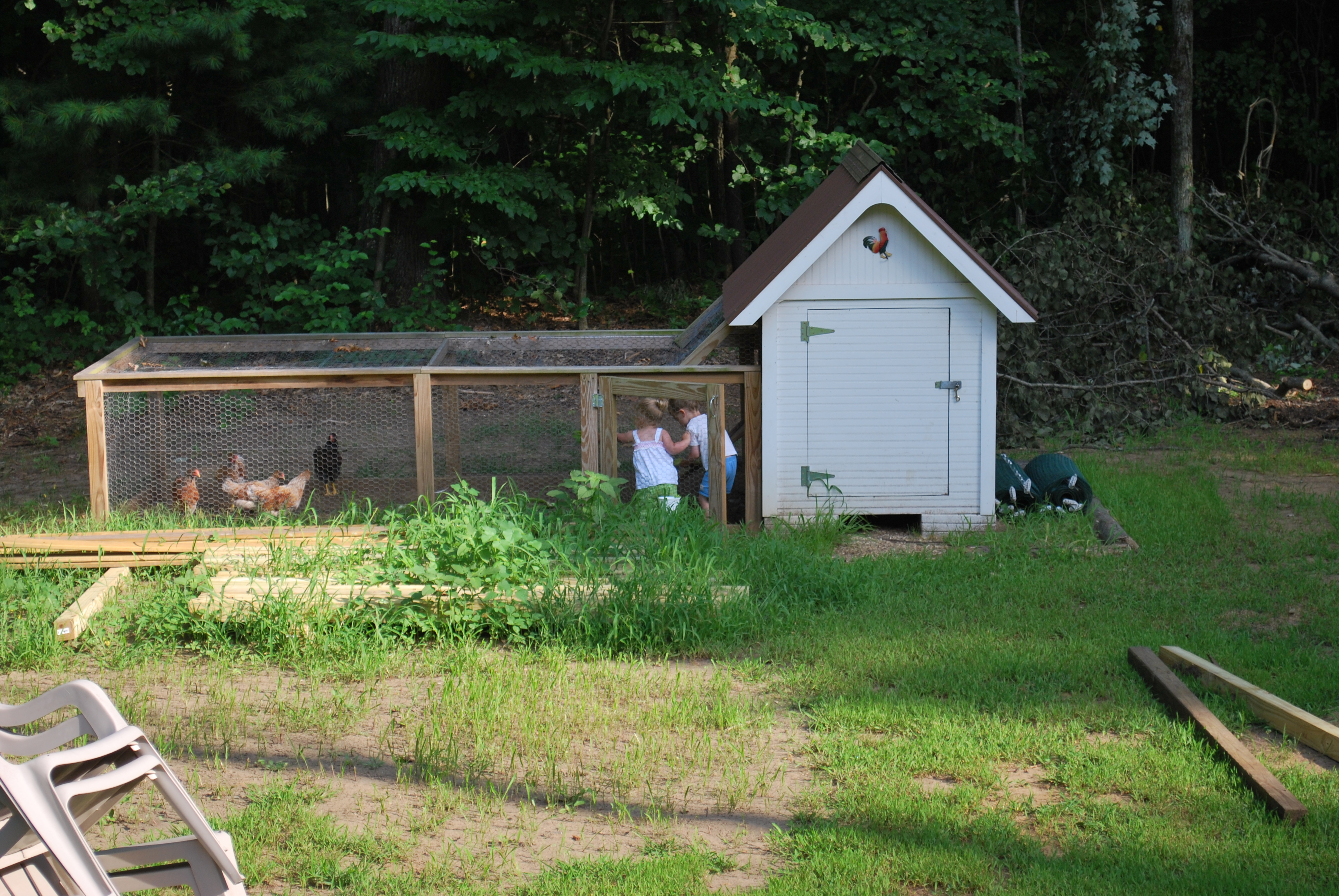 DIY Backyard Chickens} the coop | FROM SCRATCH CLUB
